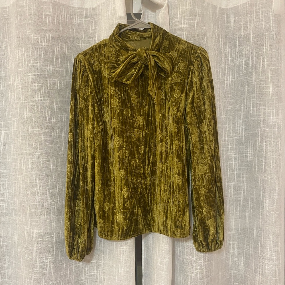 Velvet Blouse